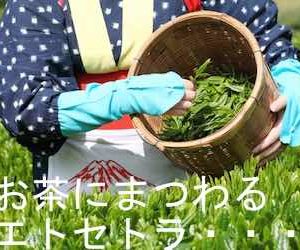 お茶にまつわる雑学集